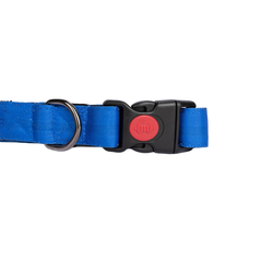 Dog Collars Heavenly Blue