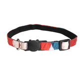 Cat Collars Celebrations