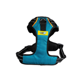 Dog Harness Pure Bliss Teal