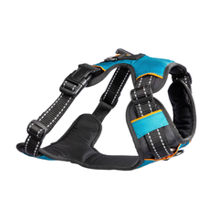 Dog Harness Pure Bliss Teal