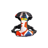 Dog Harness Celebrations