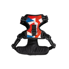 Dog Harness Celebrations