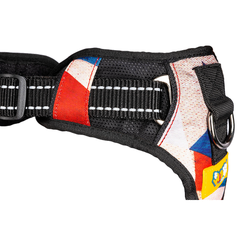 Dog Harness Celebrations