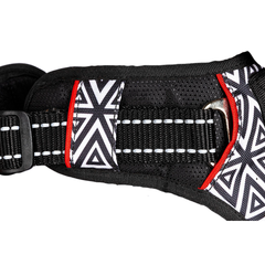 Dog Harness Cheques & Squares