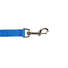 Everyday Leash Heavenly Blue