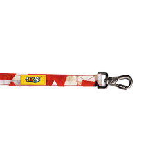 Padded Dog Leash Celebrations
