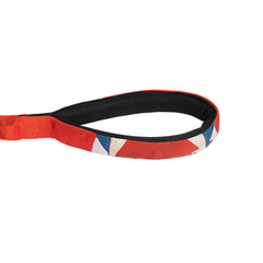 Padded Dog Leash Celebrations