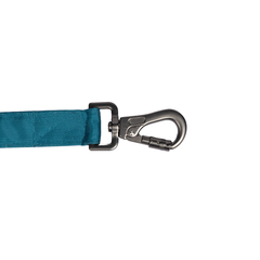 Padded Dog Leash Pure Bliss Teal