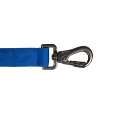 Padded Dog Leash Heavenly Blue