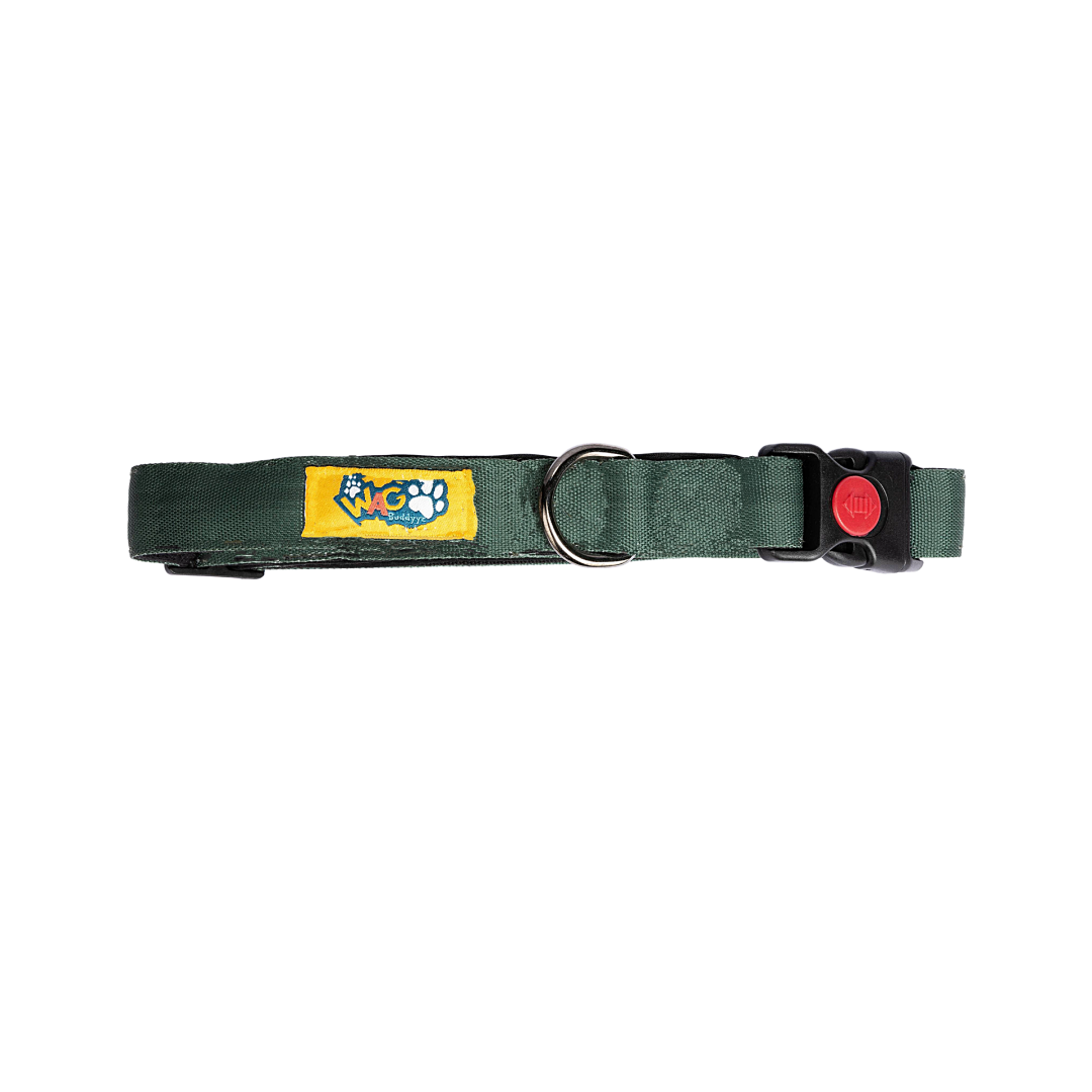 Dog Collars Earthly Green