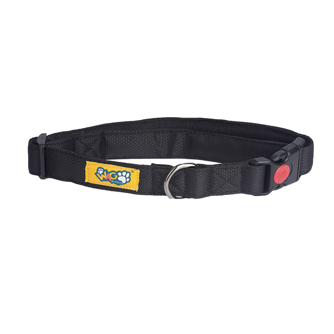 Dog Collars Carbon Black