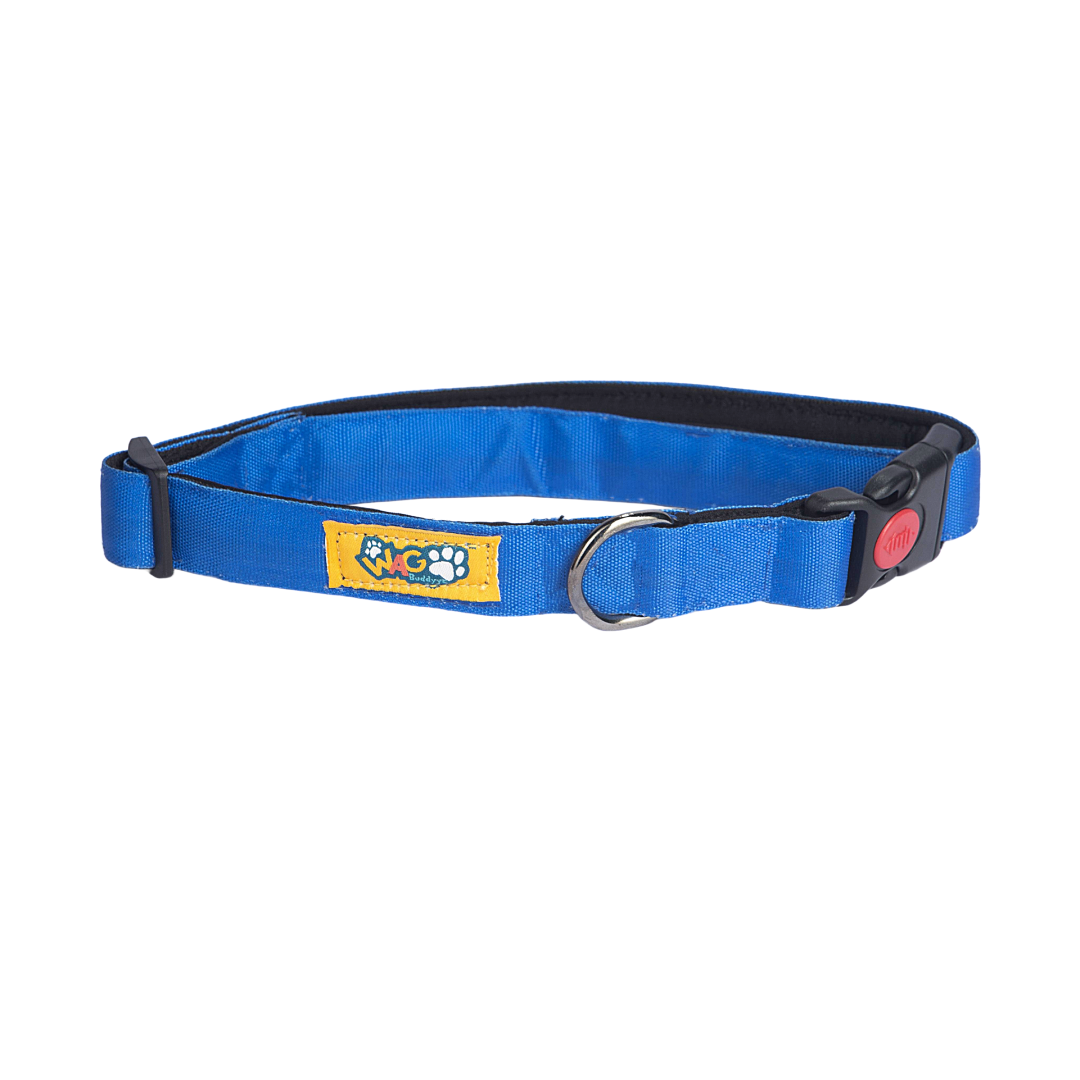 Dog Collars Heavenly Blue