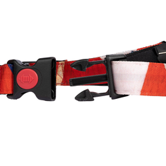 Dog Collars Celebrations