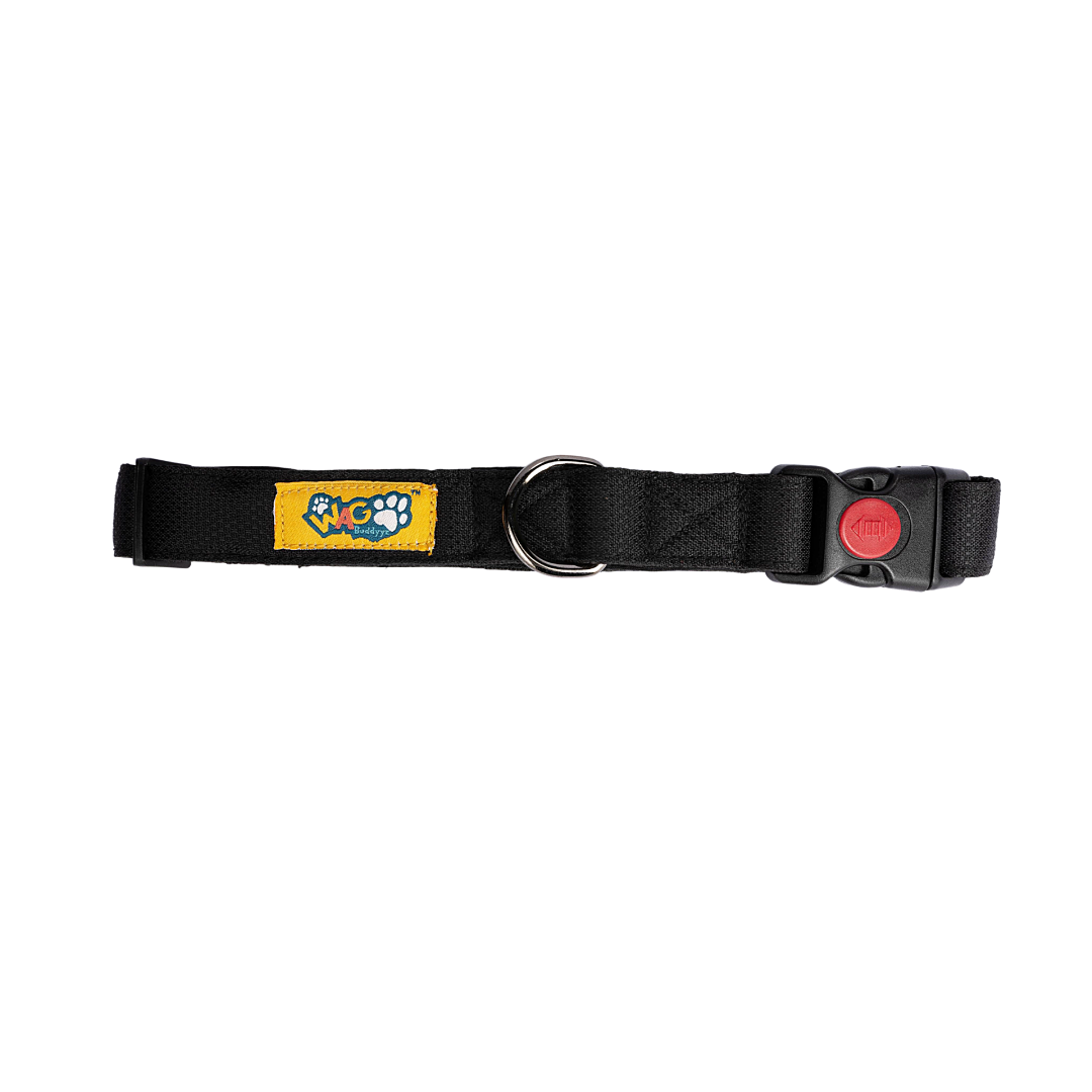 Dog Collars Carbon Black
