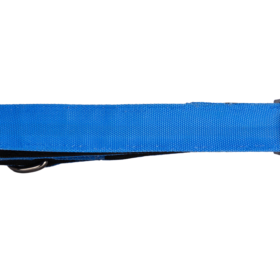 Dog Collars Heavenly Blue