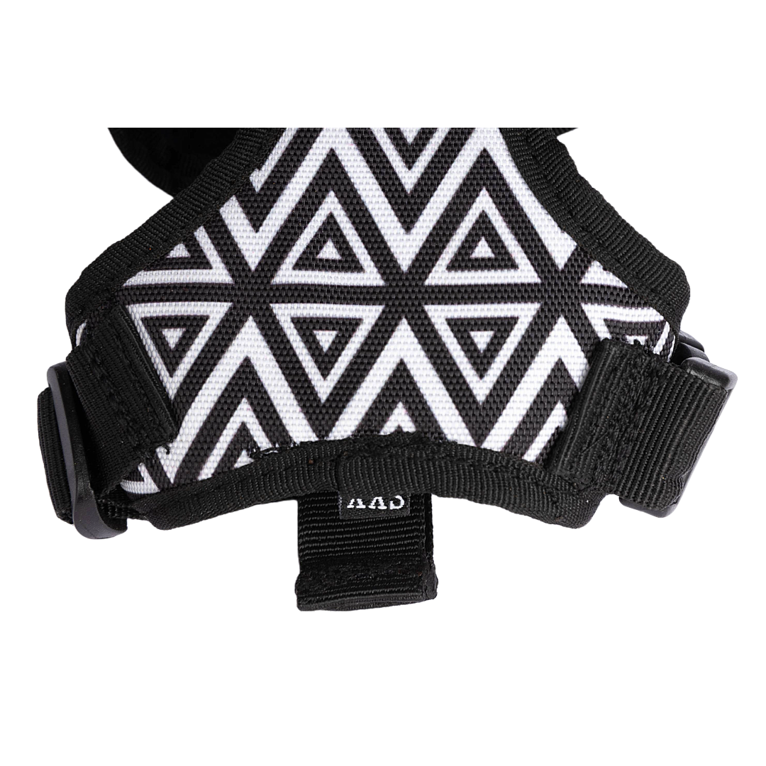 Cat Harness & Leash Combo Cheques & Squares