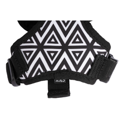 Cat Harness & Leash Combo Cheques & Squares