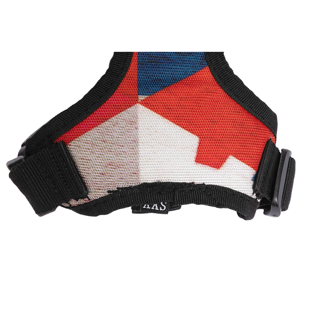 Cat Harness & Leash Combo Celebrations