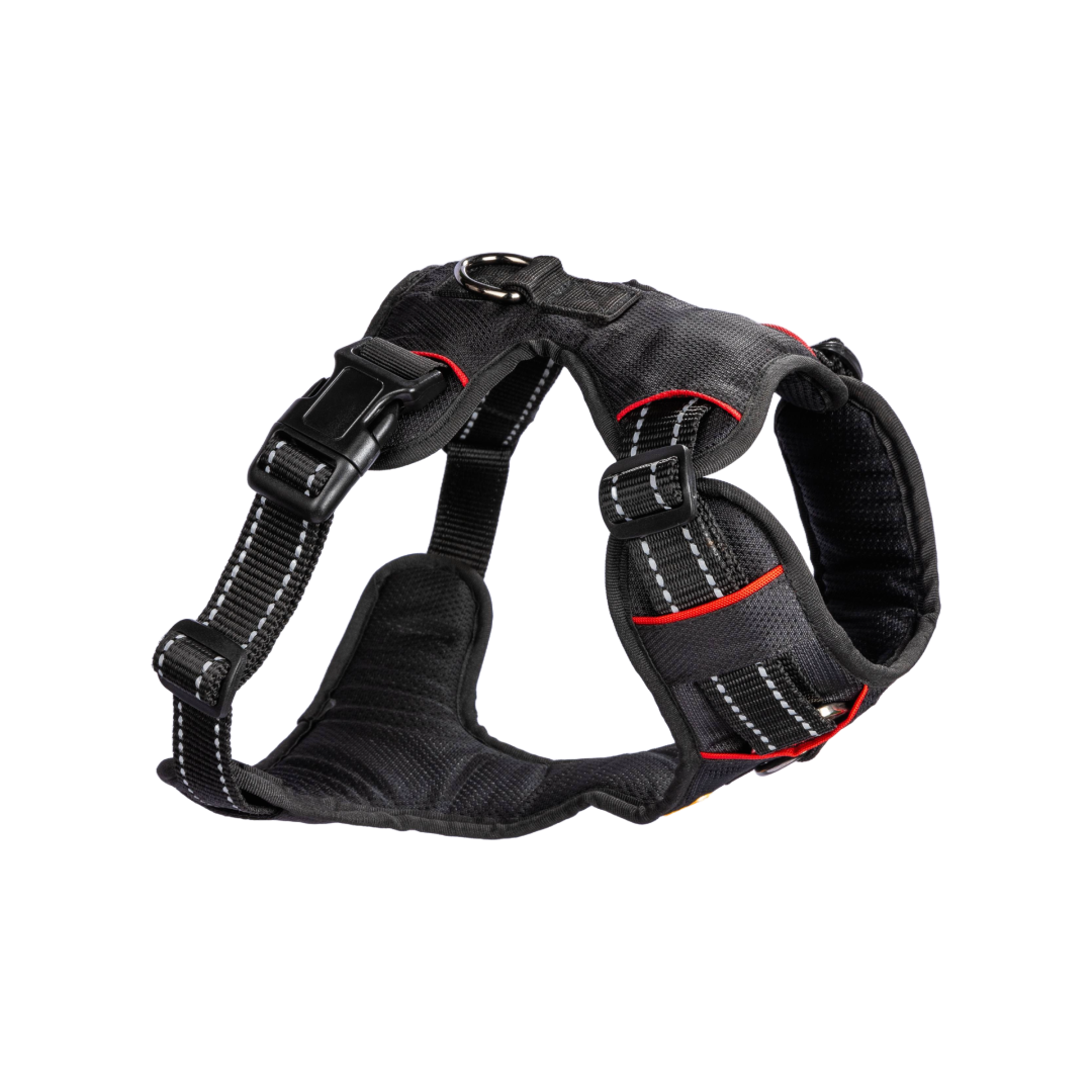 Dog Harness Carbon Black