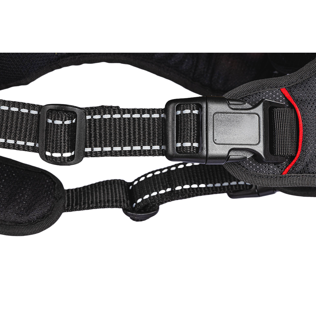 Dog Harness Carbon Black