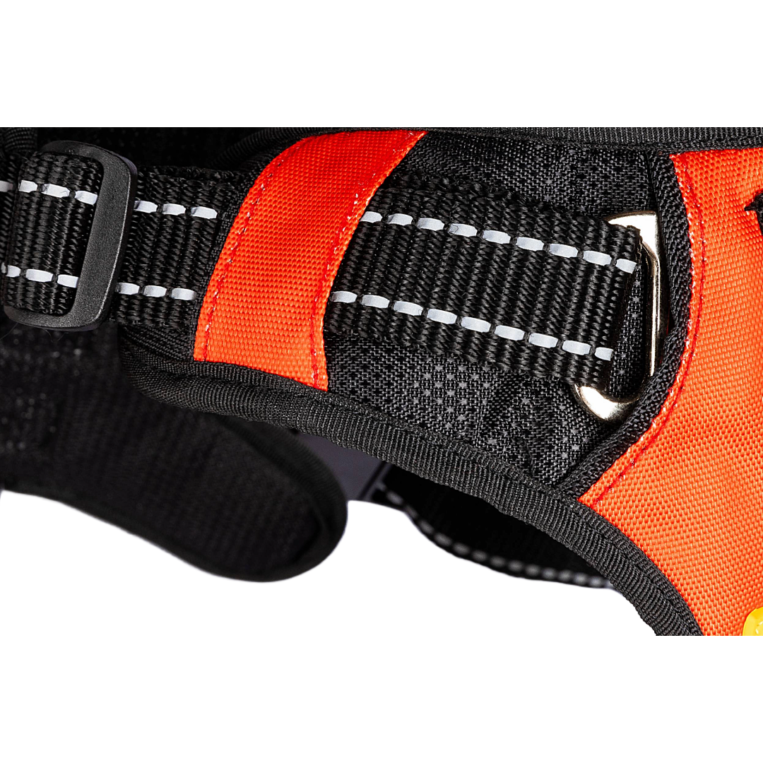 Dog Harness Tangy Red