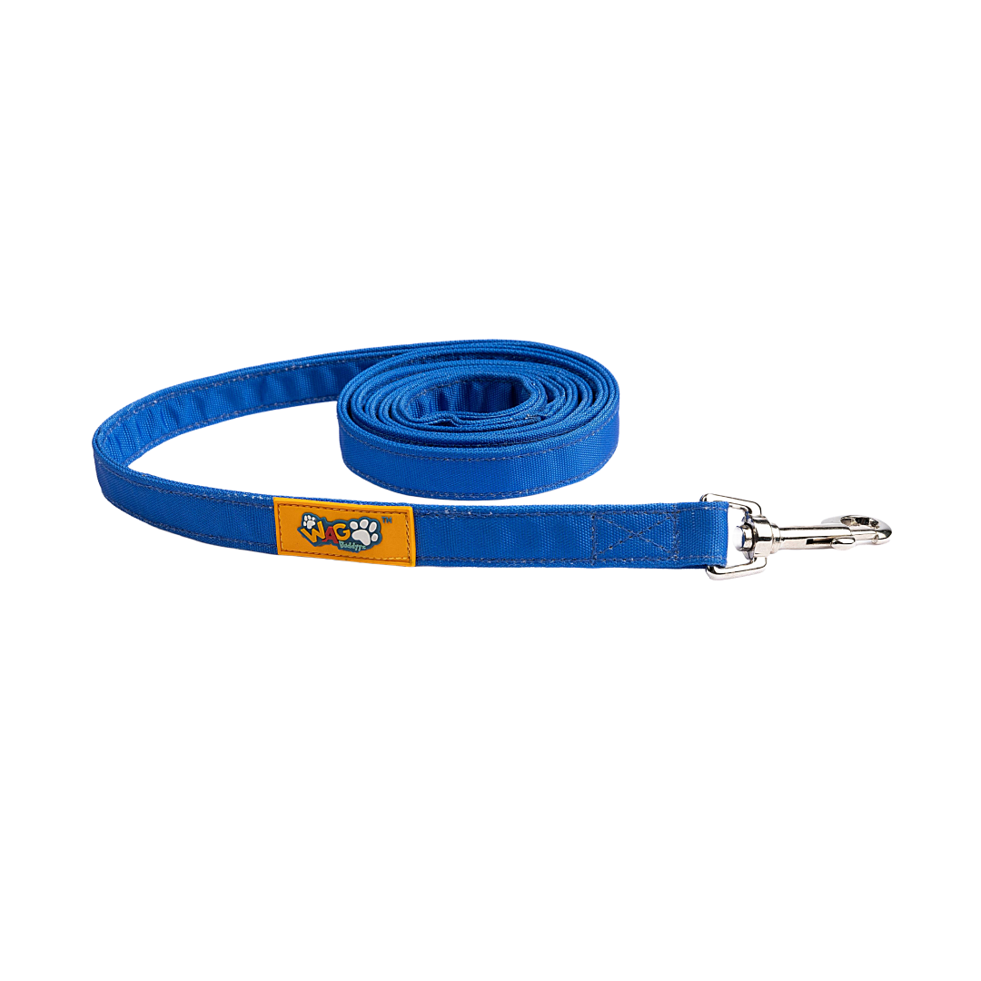 Everyday Leash Heavenly Blue