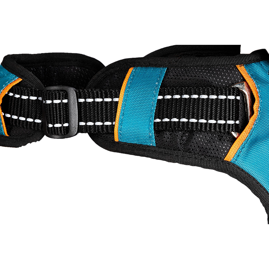 Dog Harness Pure Bliss Teal