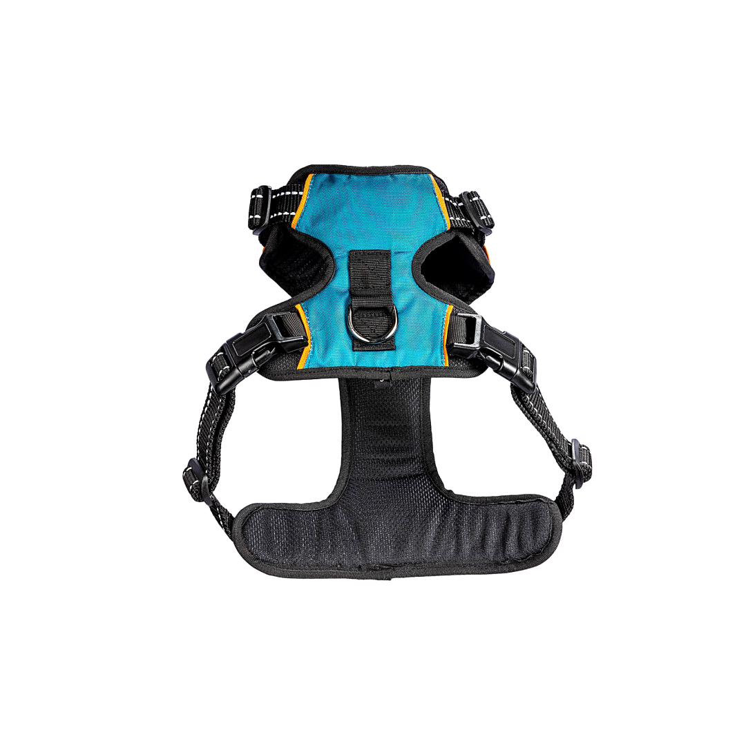 Dog Harness Pure Bliss Teal