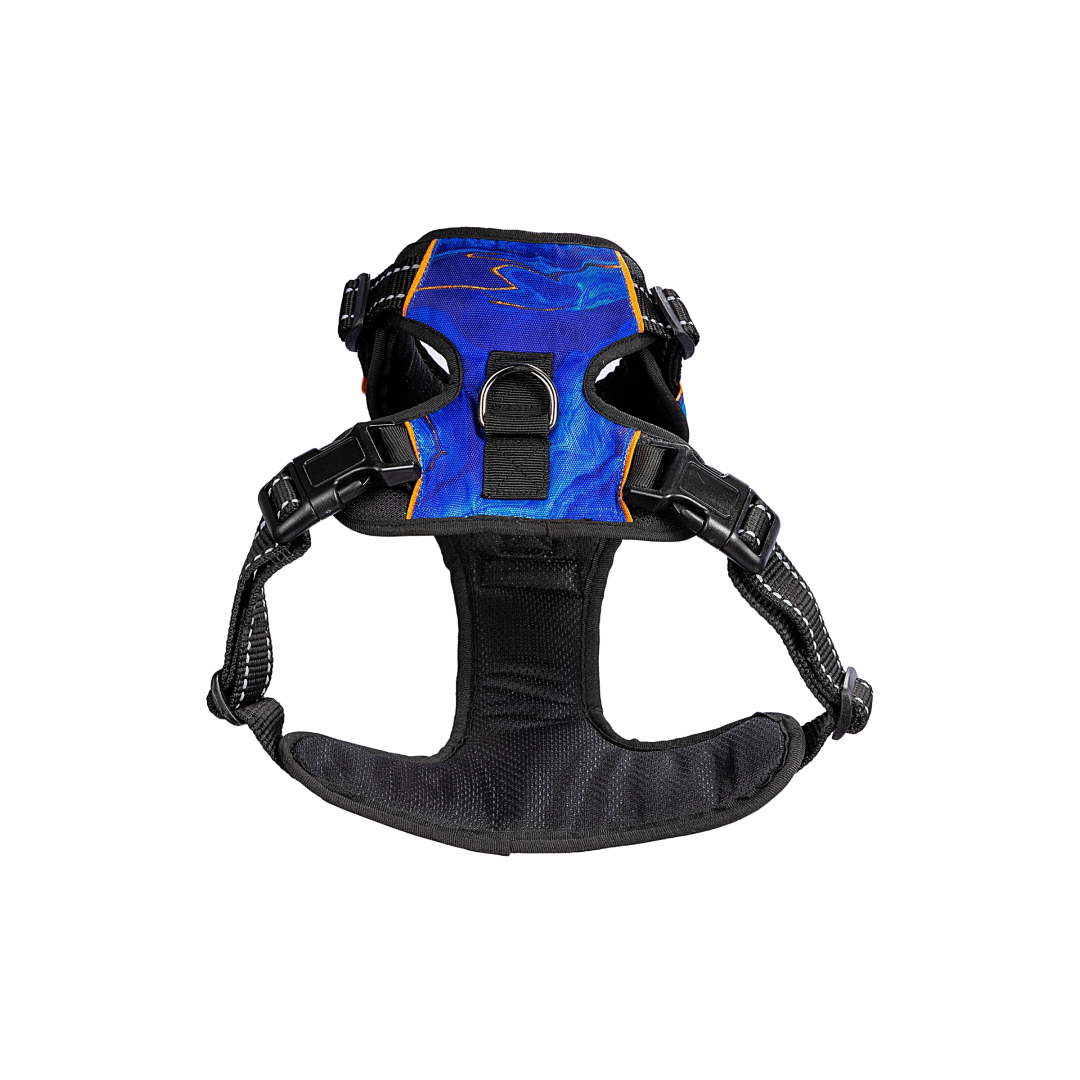 Dog Harness Galaxy