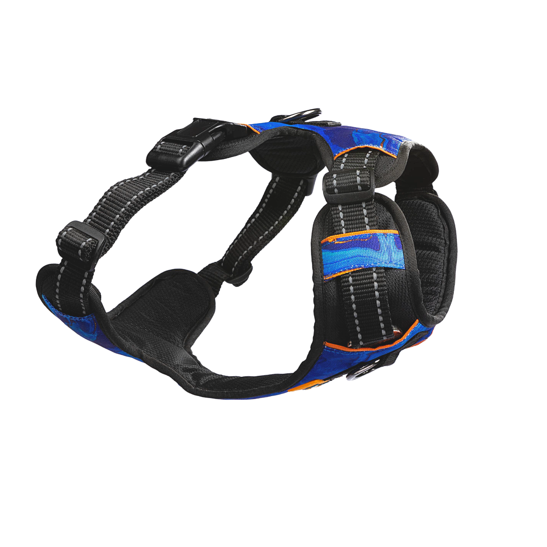 Dog Harness Galaxy