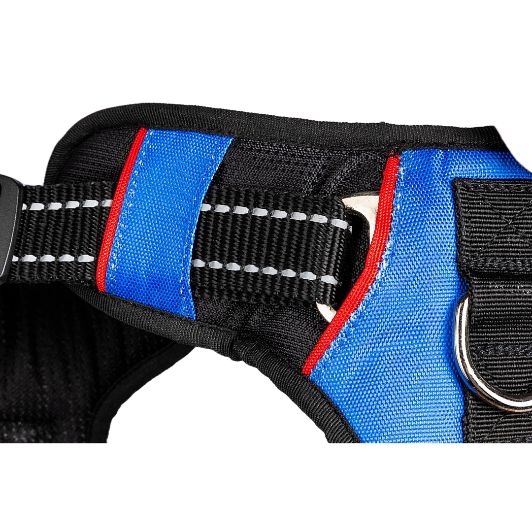 Dog Harness Heavenly Blue