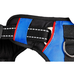 Dog Harness Heavenly Blue