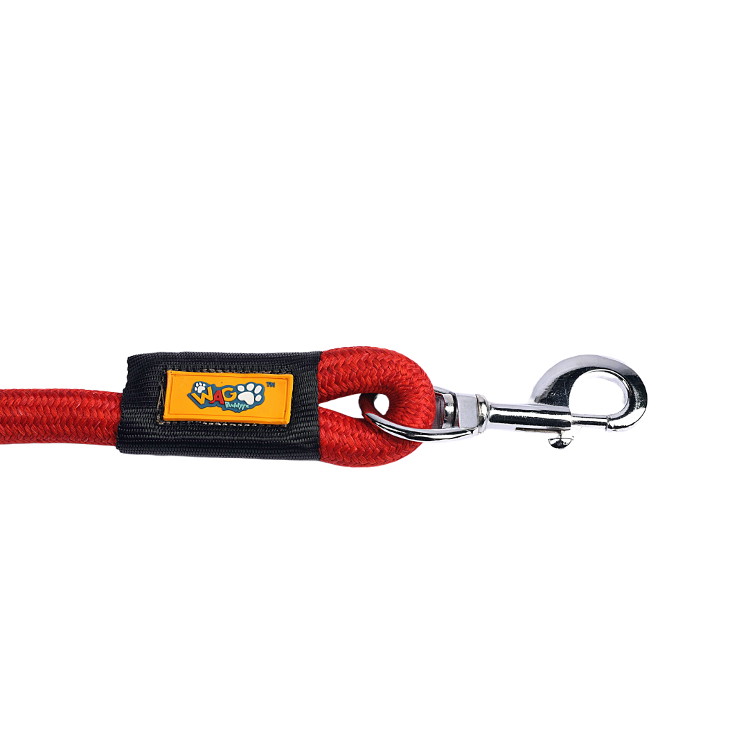 Rope Leash Tangy Red