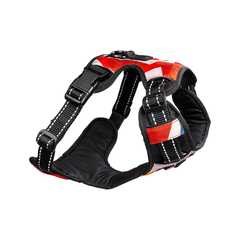 Dog Harness Celebrations