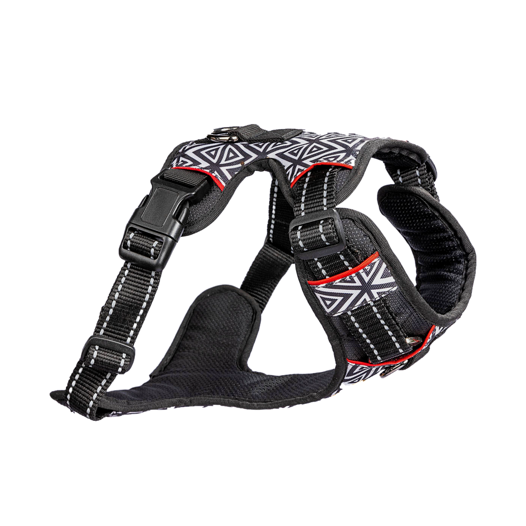Dog Harness Cheques & Squares