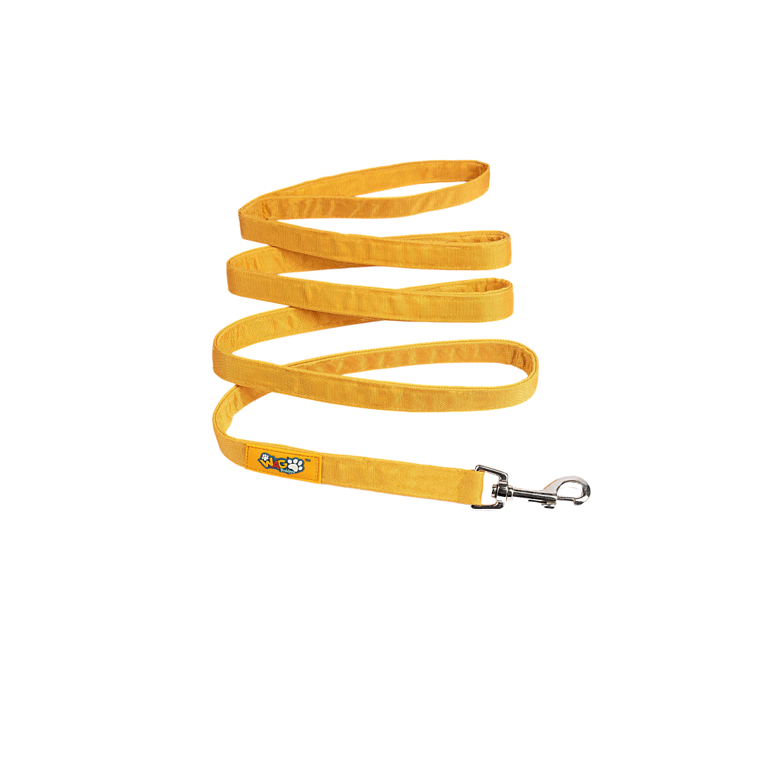 Everyday Leash Butterscotch Yellow