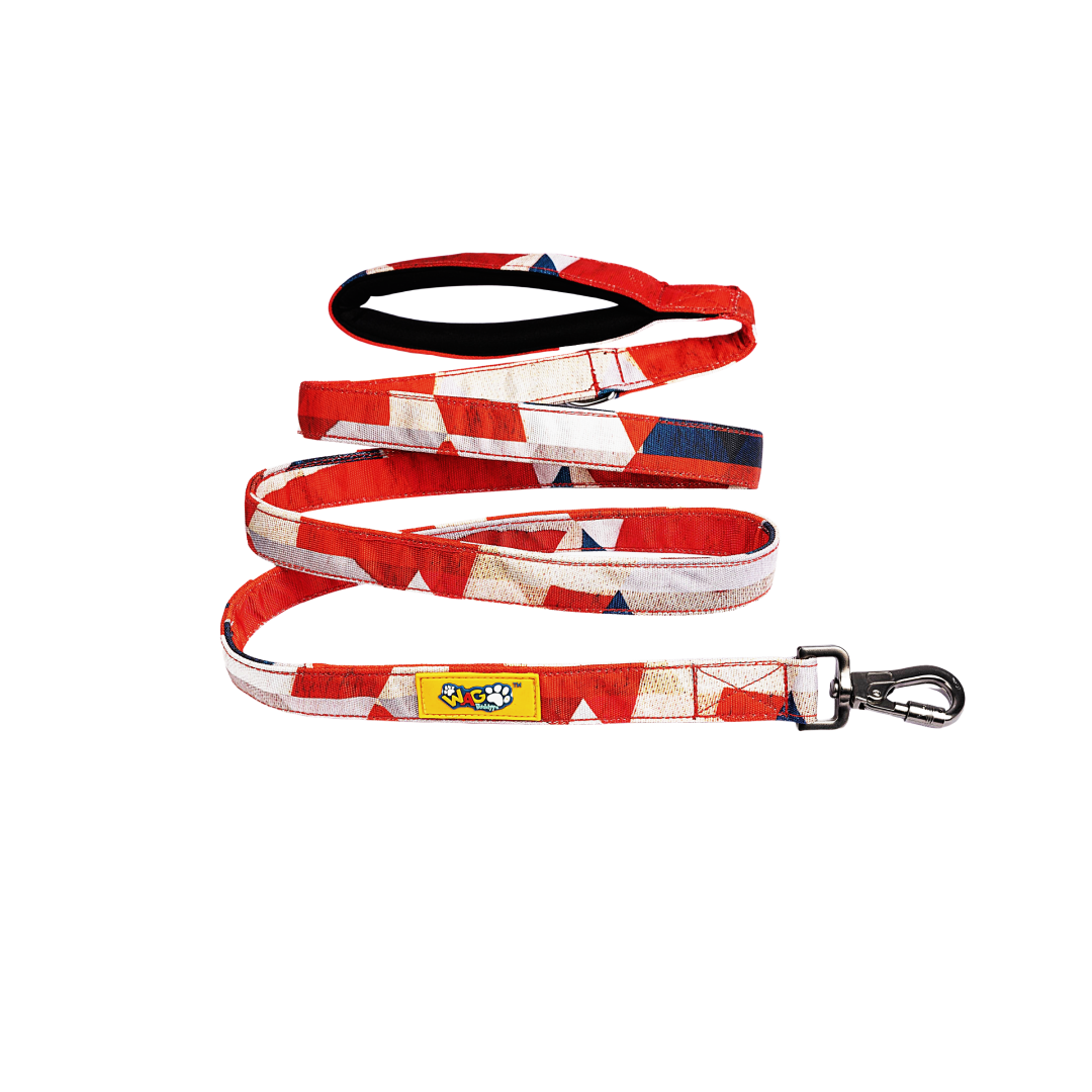 Padded Dog Leash Celebrations