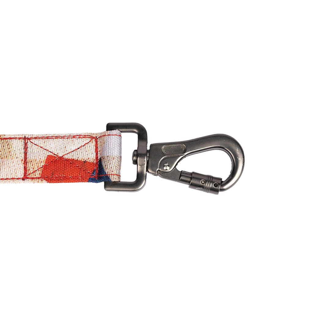 Padded Dog Leash Celebrations