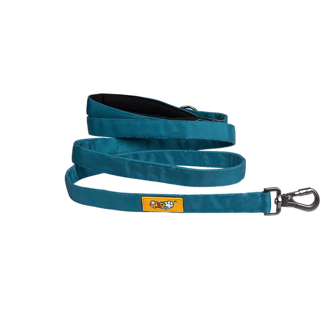 Padded Dog Leash Pure Bliss Teal