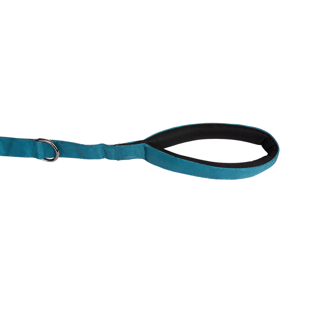 Padded Dog Leash Pure Bliss Teal