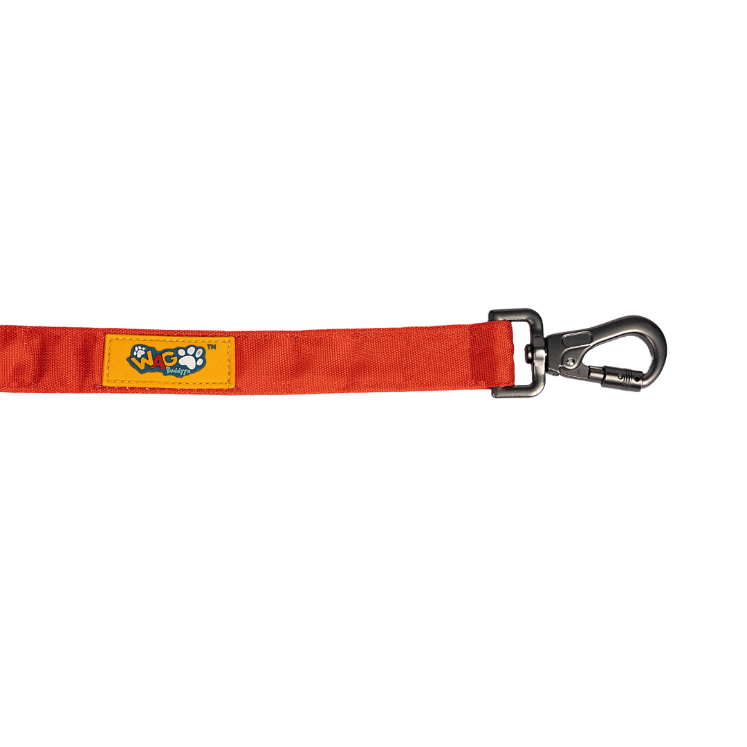 Padded Dog Leash Tangy Red