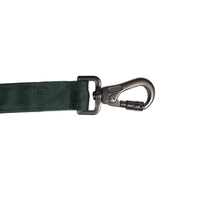 Padded Dog Leash Earthly Green