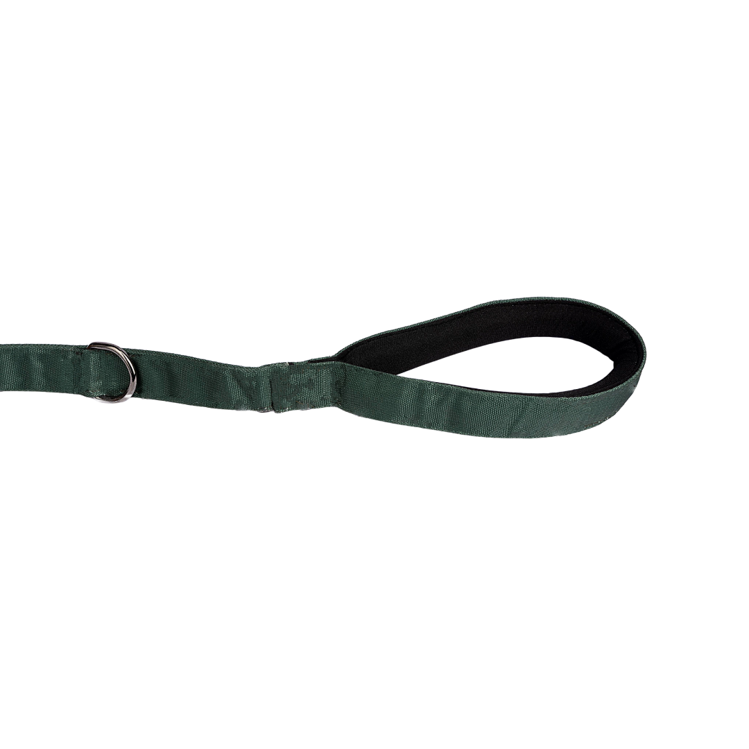 Padded Dog Leash Earthly Green