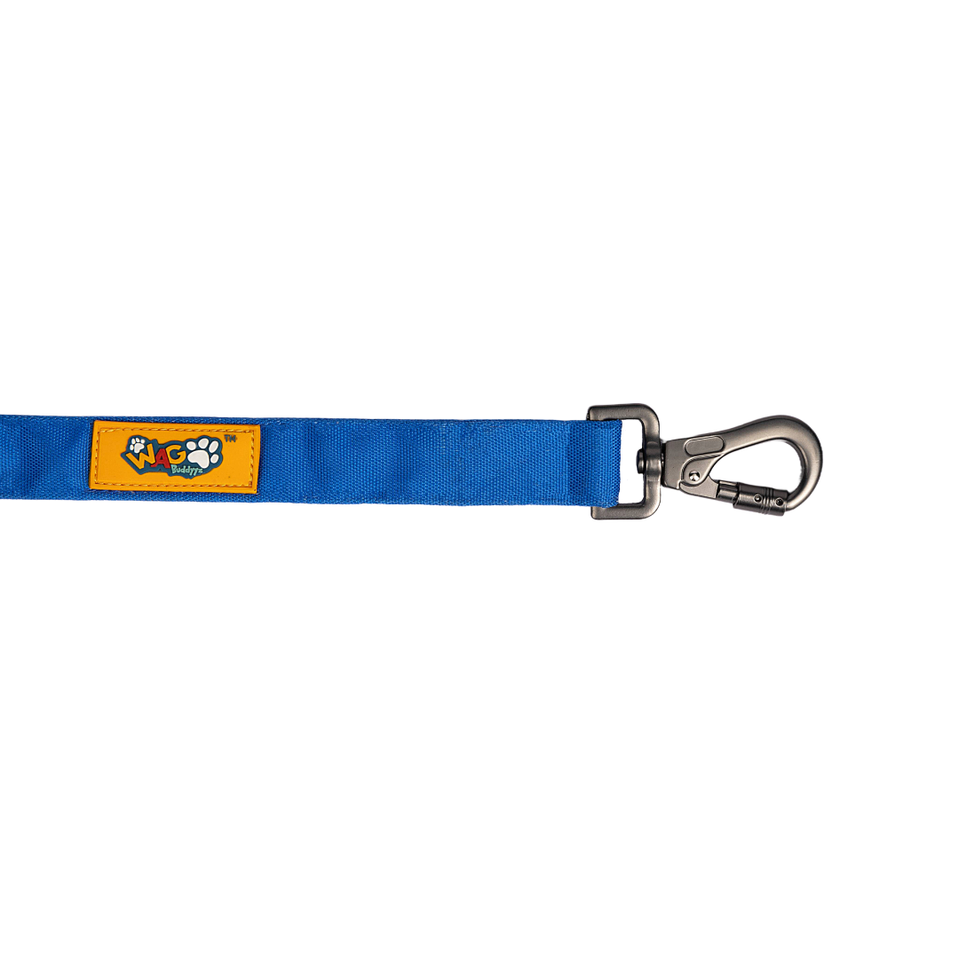 Padded Dog Leash Heavenly Blue