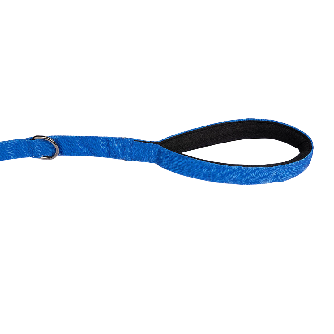 Padded Dog Leash Heavenly Blue