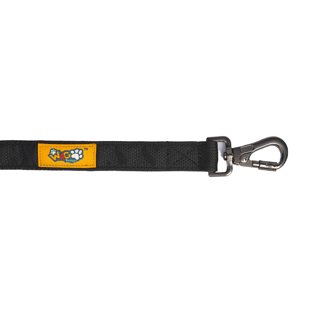Padded Dog Leash Carbon Black