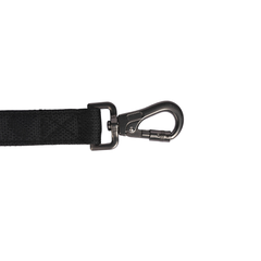 Padded Dog Leash Carbon Black