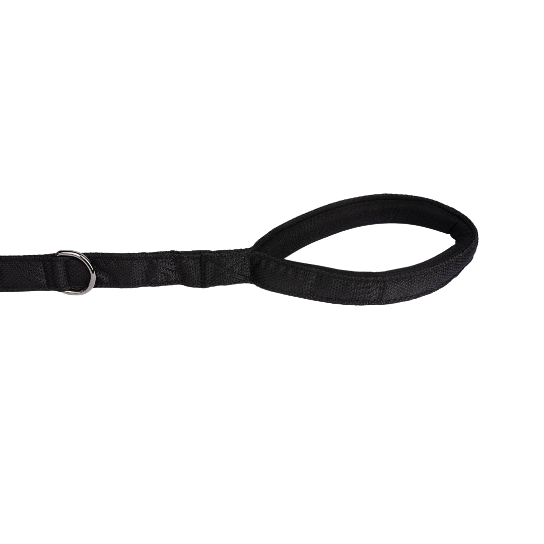 Padded Dog Leash Carbon Black