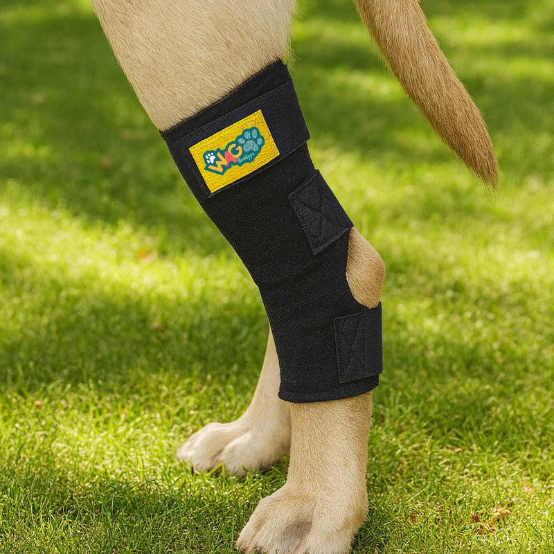 Hock Protector Carbon Black